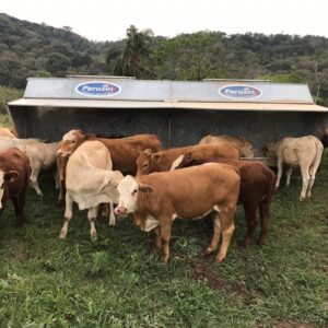 Silo Comedouro Móvel Capacidade: 7m³